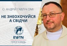 Не знеохочуйся а свідчи.Проповідь о. Андрія Гавліча ОМІ